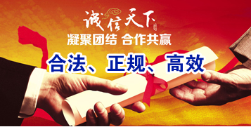 龙沙要债公司